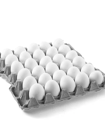 eggs tray / గుడ్లు ట్రే