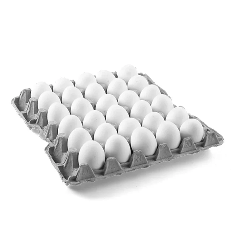 egg-tray.webp