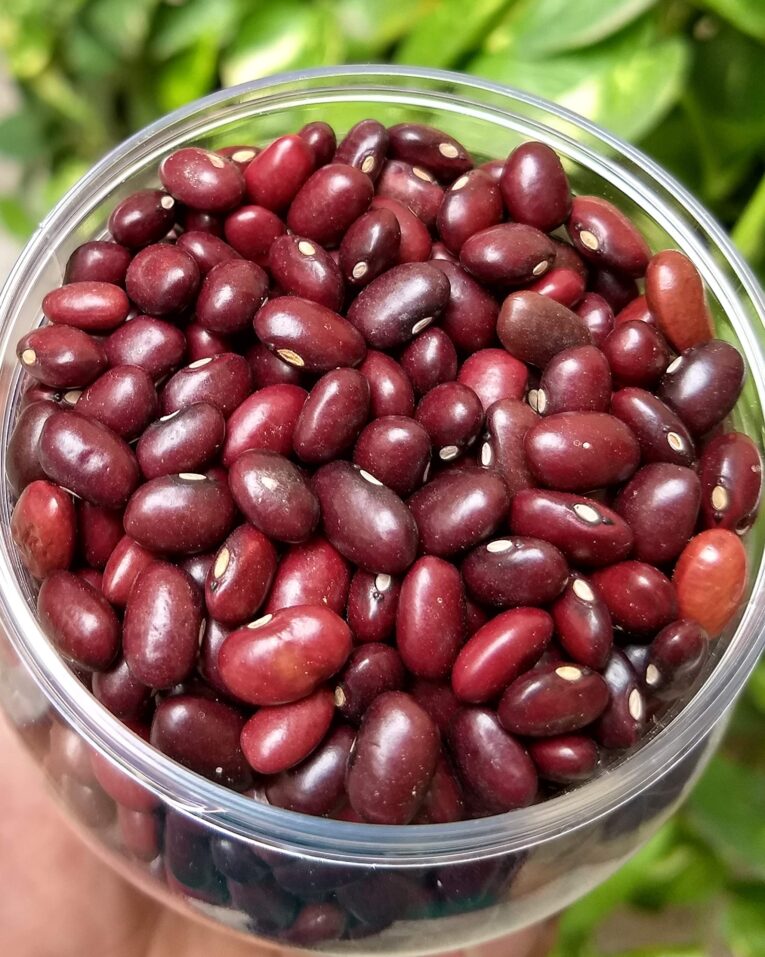 rajma-1.jpg