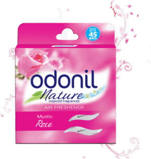 Odonil Mystic Rose/ఒడొనిల్ మిస్టిక్ రోస్