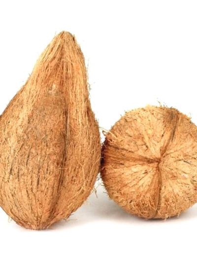 Coconut /టెంకాయ