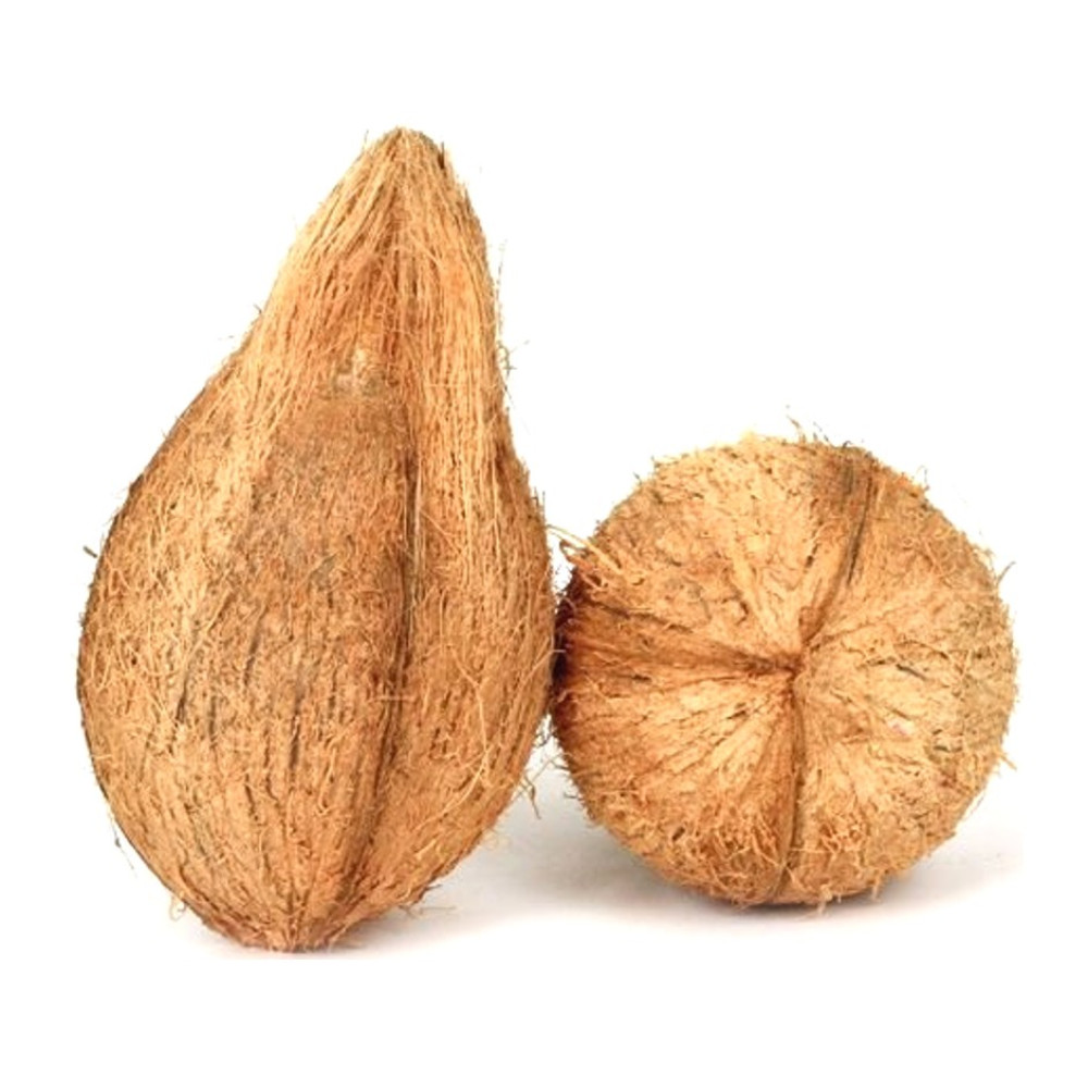 Coconut /టెంకాయ
