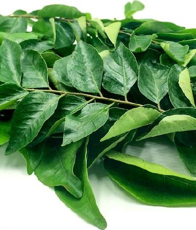 Karivepaku/కరివేపాకు