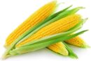 Sweet Corn 1 No