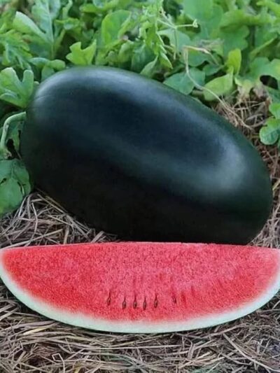 Watermelon 2kg to 3kg