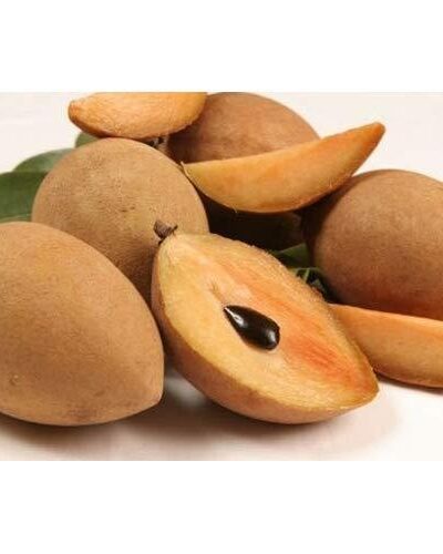 Sapota 1 kg